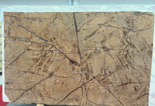 MARMORE RAIN FOREST YELLOW/GOLD