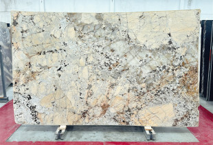 TEXTA PATAGONIA - 000024